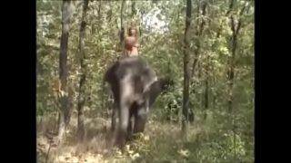 Selen la reine des éléphant 1997